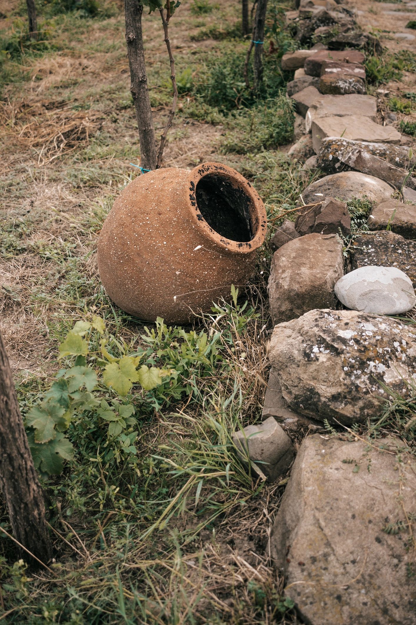 Qvevri winemaking traditional Georgian vineyard